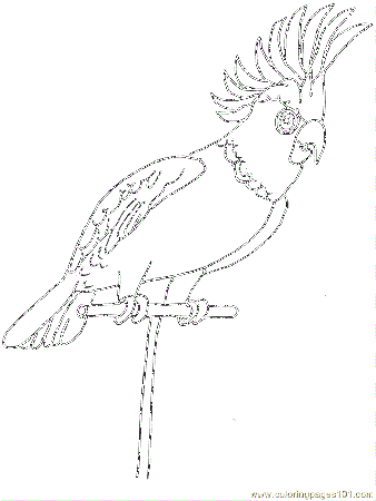 Coloring Pages Bird Coloring 68 (Animals > Birds) - free printable 