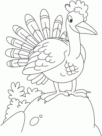Curious turkey coloring page | Download Free Curious turkey 