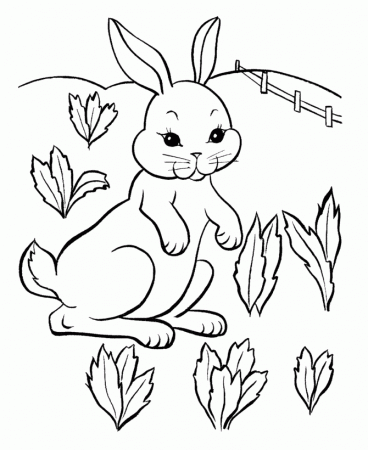 7 Easter Bunny Printables