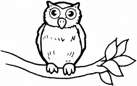 Owls Coloring Pages - Free Coloring Pages For KidsFree Coloring 