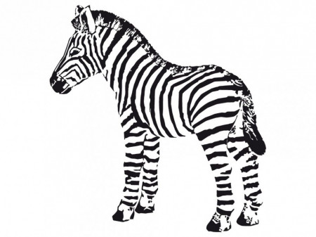 Zebra And Giraffe Coloring Pages Printable Coloring Sheet 190608 