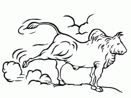 Bull Riding Coloring Pages Free Coloring Pages 270926 Bull Riding 