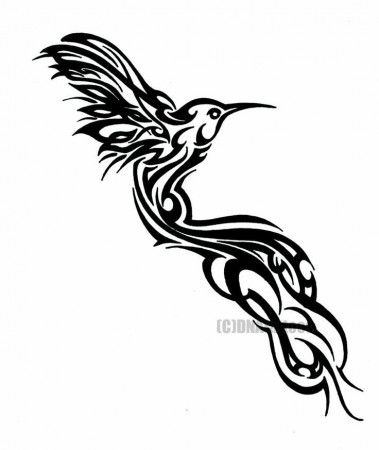 Tribal Hummingbird Tattoo Tattoos Pinterest | doginstructions.com