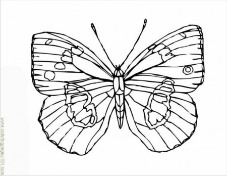 Coloring Pages Insects Butterfly 02 (Animals > Insects) - free 