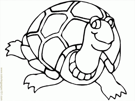big Turtle coloring pages for kids | Coloring Pages