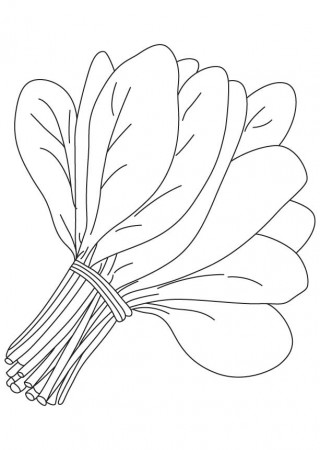 Bunch of spinach leaves coloring page | Download Free Bunch of 