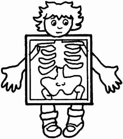 Body Systems Coloring Pages | Kids Coloring Pages | Printable Free 