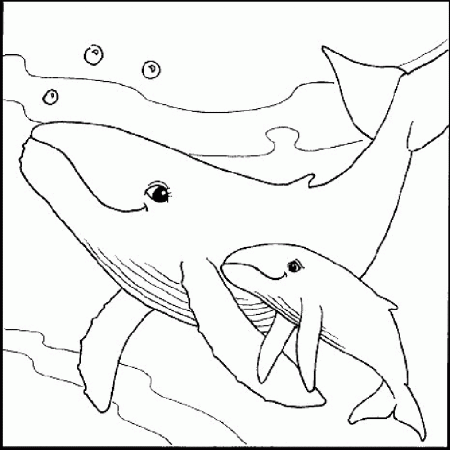Simple Sea animals Coloring Pages for kids | coloring pages