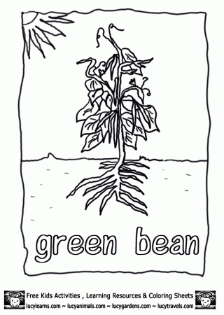 Vegetable Coloring Pages Growing Green Beans,Lucy Free Vegetable 