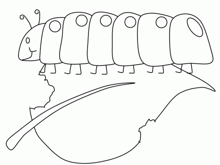 Caterpillar Coloring Page X