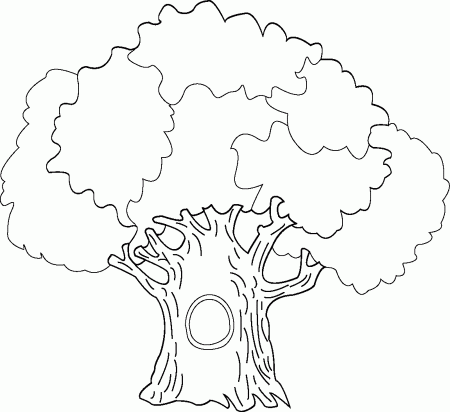 Big-Tree-Coloring-Page.jpg