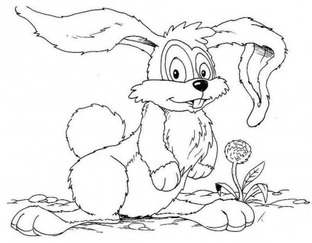 Download Rabbit Coloring Pages Free Printable Or Print Rabbit 