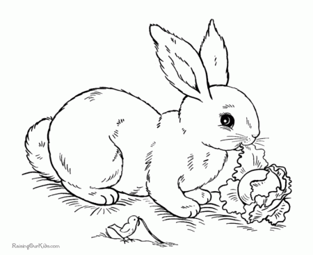 Free Printable Coloring Sheet for Easter - 016