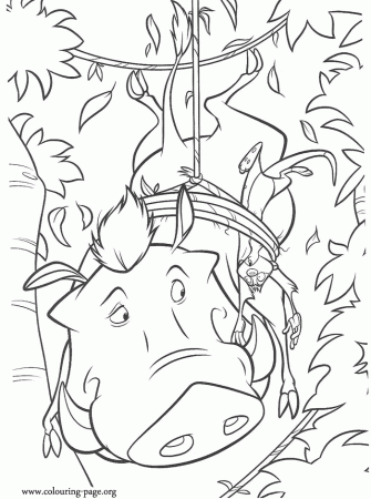 The Lion King - Timon and Pumbaa caught in a trap coloring page