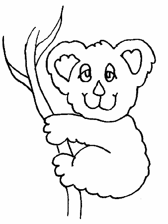 Koala Animals Coloring Pages & Coloring Book
