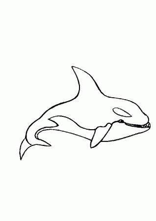 Coloring Page - Sea animal coloring pages 3