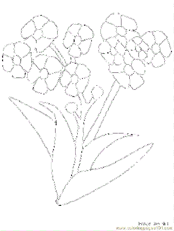 Coloring Pages Flower Coloring Pages 01 (Natural World > Flowers 