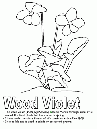 Wood Violet coloring pages