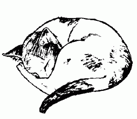 Cats and Kitten Coloring Pages 57 | Free Printable Coloring Pages 