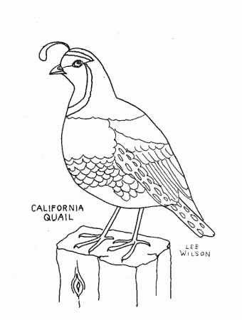 Quail Online Coloring Pages Princess Coloring Pages Christmas 