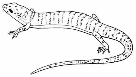 Gecko Coloring Pages - Free Coloring Pages For KidsFree Coloring 