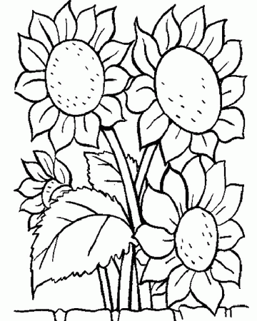 Flower Coloring Pages 7 | Free Printable Coloring Pages 