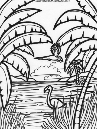 Jungle Printable Coloring Pages Rainforest Animals Coloring Pages 