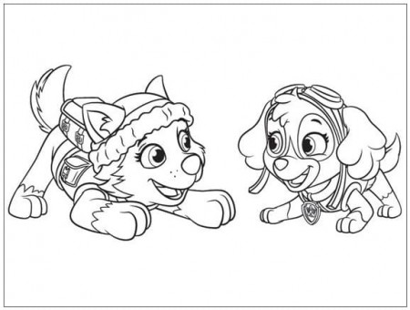 Paw Patrol Skye And Everest Coloring Pages