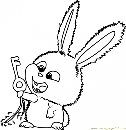 Snowball with Key Carrot Coloring Page for Kids - Free The Secret Life of  Pets Printable Coloring Pages Online for Kids - ColoringPages101.com | Coloring  Pages for Kids