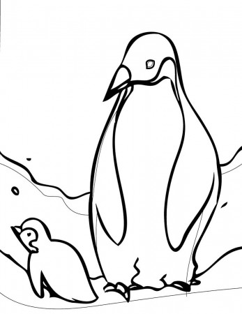 Cute Baby Penguin - Coloring Pages for Kids and for Adults