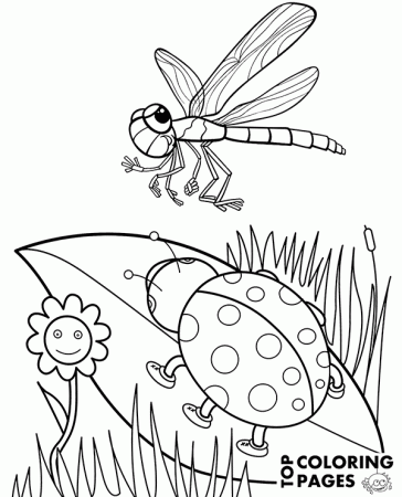 Ladybird and dragonfly coloring sheet - Topcoloringpages.net