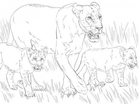 Lioness with Cubs coloring page | Super Coloring | Lion coloring pages,  Animal coloring pages, Daniel and the lions