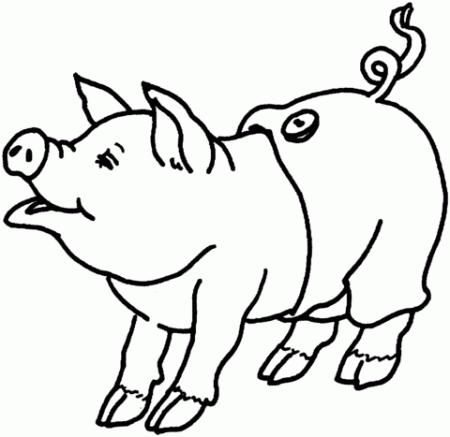 Cute Pig coloring page | Free Printable Coloring Pages | Animal templates,  Baby pigs, Pig images