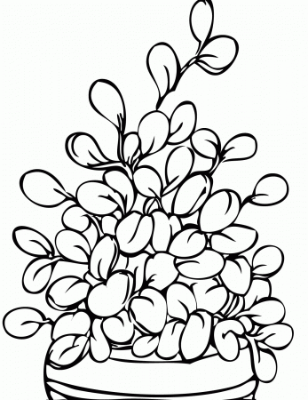 Jade Plant Coloring Page - Handipoints