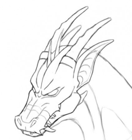 Dragon Face by Wolf-DX on DeviantArt
