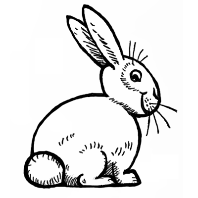 How to Draw Bunnies with Easy Bunny Rabbits Drawing Lesson - How ...