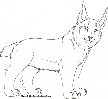 7 Pics of Canada Lynx Coloring Page - Lynx Coloring Pages, Lynx ...
