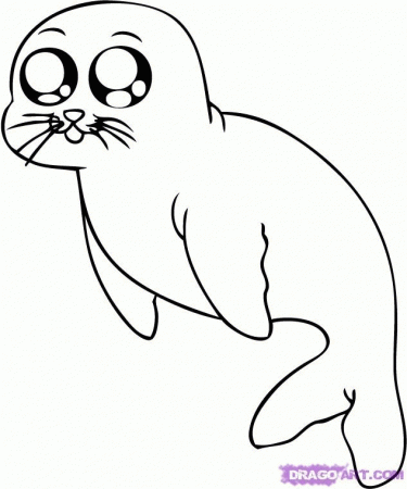 Seal coloring pages download and print for free