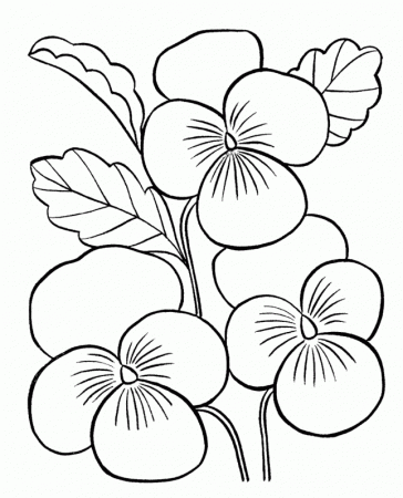 Printable Plicated Coloring Pages For Adults Spring Coloring ...