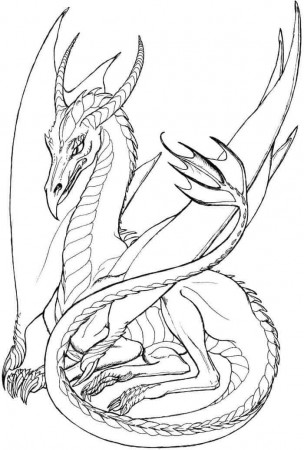 Mighty Dragon Coloring Pages | Dragon coloring page, Dragon sketch, Dragon  artwork