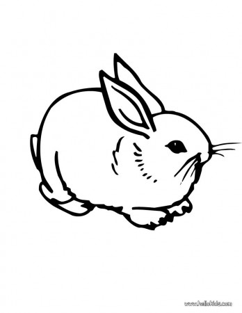 Hippity Hop | Bunny coloring pages, Rabbit coloring pages, Cute coloring  pages