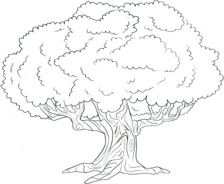 Coloring Pages Of Trees - canadianderbymarathon.ca