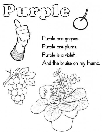 Color Purple Page