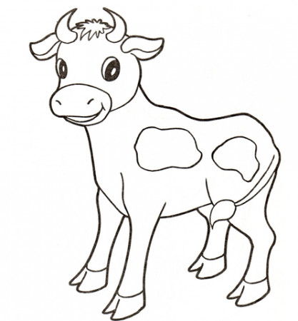 Baby cow coloring page | Free Printable Coloring Pages