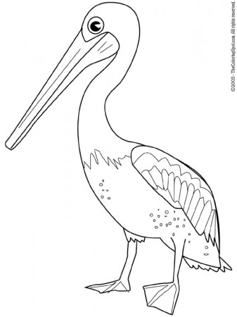 Pelican Coloring Page | Audio Stories for Kids | Free Coloring Pages |  Colouring Printables