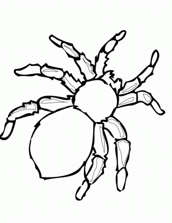 Animal Spider Coloring Pages - Coloring Pages For All Ages