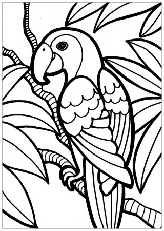 Bird Coloring Fords Inspirations Book Childrends Easy Simpled Flying  Realistic Free Easy Bird Coloring Pages Coloring Pages answer solver  graphing linear equations answers enter math problems and get answers  interactive puzzles for