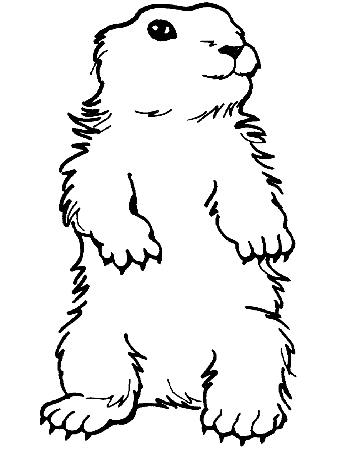 Groundhog Day Coloring Page: Standing Groundhog - PrimaryGames ...