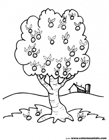 Coloring Pages Of Apple Trees - Coloring Page