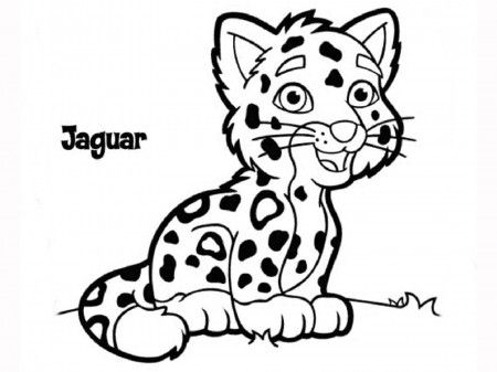 Cheetah Habitat Coloring Pages - Coloring Pages For All Ages
